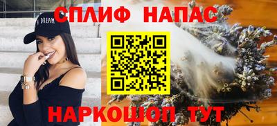 сатива Гай