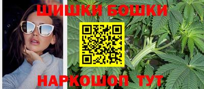 сатива Гай