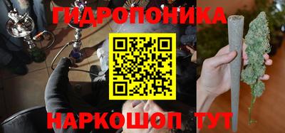сатива Гай