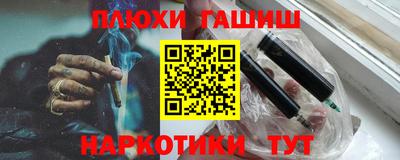 сатива Гай