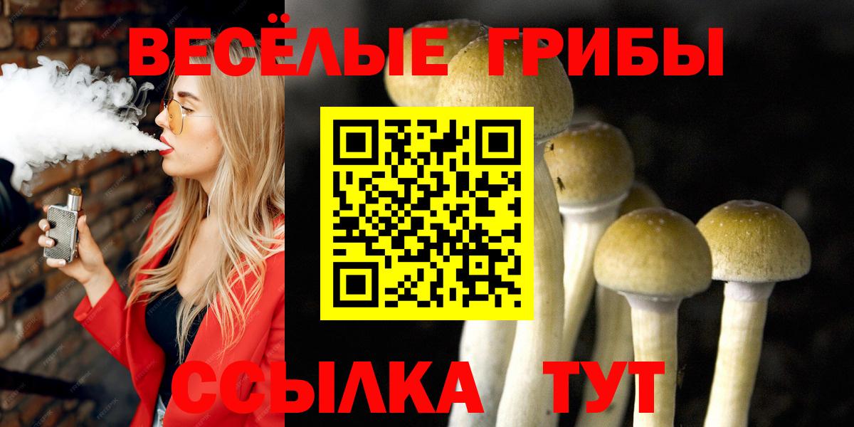 Гашиш  МАРИХУАНА  Каменск-Шахтинский  Вход с VPN  МЕФ кристаллы 